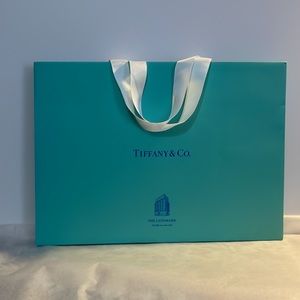 Tiffany & Co Landmark Store Shopping Bag